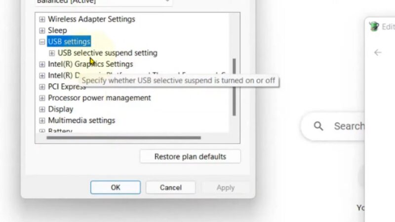 USB Selective Suspend Setting